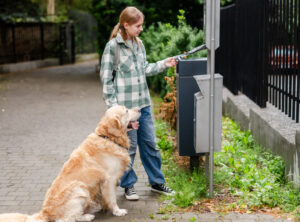 Pension canine sécurisée : quels critères vérifier avant de réserver ?